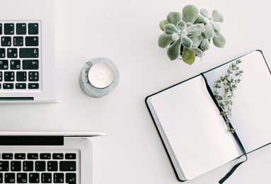 时隔25年再夺冠 上海女排击败江苏女排登顶排超联赛